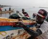 132 navires nationaux et 19 étrangers autorisés à pêcher au Sénégal