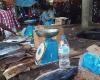 53 malades du choléra et 4 décès sur l’île de Mohéli