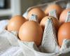 Cette croyance populaire sur les œufs bio démentie par un médecin et c’est inquiétant