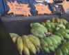 Bananes rares sur les étals à La Réunion, les prix s’envolent