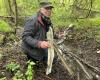 Les restes d’un avion américain abattu pendant la guerre retrouvés dans un bois des Yvelines