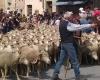 Défilé de moutons, danses, galoubets et tambourins… la transhumance revient ce jeudi 9 mai à Pélissanne