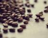 Le prix des graines de café a explosé en un an