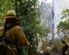 Le Mexique combat 159 incendies de forêt en pleine canicule (photos)