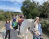 Une promenade pastorale avec des chevaux pour nettoyer la nature