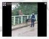 un homme renonce à sauter du haut d’un pont sur l’A9 lorsqu’il aperçoit son chien