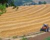 L’emploi dans le Tarn-et-Garonne. Le secteur agricole recrute, voici comment postuler ? – .
