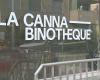 quel bilan pour le premier magasin de cannabis à Genève, six mois après son ouverture ? – .