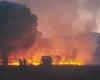 recrutement de pompiers, d’hélicoptères, de drones, comment le département le plus sec de France espère lutter contre les incendies de forêts