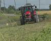 Québec investit 210 millions de dollars pour soulager les agriculteurs