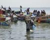 Les pêcheurs ne veulent pas naviguer en eaux troubles – Lequotidien