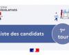 Élections législatives 2024 – Liste des candidats pour le 1er tour en Lot-et-Garonne – CANDIDATS – Élections législatives 2024 – Élections politiques – Citoyenneté – Actions de l’État