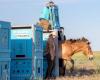 Des chevaux sauvages rares reviennent dans la steppe dorée du Kazakhstan après avoir été sauvés de l’extinction