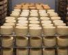 Les fromages fermiers de l’Aude concourent ce week-end