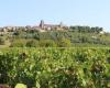 Daniel Moiron fait don des terres du vignoble de Vézelay aux Hospices Civils de Beaune