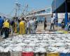 Baisse de 10% des débarquements de la pêche côtière et artisanale fin mai dernier