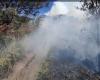 Un incendie terrestre dans la région de Bromo Widodaren à Savana
