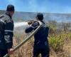 violent incendie à El Aouama, 6 hectares de couvert forestier ravagés