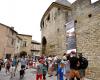 La surpopulation à Carcassonne, « une idée reçue tenace »