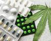 Vendus en pharmacie, l’efficacité des produits à base de cannabis est-elle scientifiquement prouvée ?