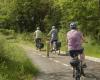 Au nord de Nantes, des pistes cyclables rurales pour échapper à la « culture automobile » – Libération