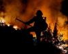 Les incendies de forêt extrêmes ont doublé au cours des 20 dernières années dans le monde