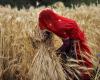 L’Inde impose des limites aux stocks de blé et pourrait recourir aux importations si nécessaire