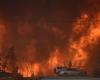 Les incendies de forêt extrêmes ont doublé en 20 ans