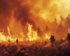 Un incendie a ravagé 4 000 m2 dans le Gard, dimanche 23 juin 2024