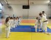 Le Judo Club Déodatien clôture sa saison en beauté
