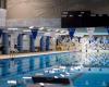 Les clubs de natation de Chicoutimi et de Jonquière fusionneront