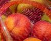 « Il y a une forte pression sur les prix des petites nectarines dès le début de l’été » – .