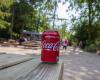 Rappel de canettes de Coca Cola Cherry en raison de la présence d’un « produit chimique dangereux »