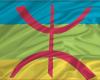 La langue Tamazight entre dans Google Traduction – .