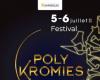 Retrouvez la 3ème édition des PolyKromies les 5 et 6 juillet à Sarcelles – .