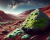 Une mousse du désert découverte qui pourrait survivre sur Mars – .