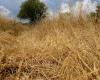 En Provence, première alerte sécheresse de l’été 2024 décrétée dans la région d’Aix – .