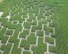 Réouverture des labyrinthes géants dans les champs de maïs près de Lille – 07/03/2024 – .