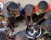 « Seuls 17% des Sénégalais sont en situation de sécurité alimentaire modérée » – .