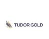 Tudor
      Gold
      va
      prolonger
      ses
      bons
      de
      souscription
      –
      Mon
      blog