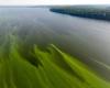 Cyanobactéries dans les prises d’eau de quatre communes