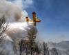 Sur instruction royale, les FAR déploient deux Canadairs dans le cadre de la lutte contre les incendies de forêt au Portugal