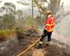 Le Portugal continue de lutter contre de violents incendies de forêt