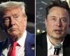 Donald Trump et Elon Musk, entre proximité idéologique et intérêts mutuels