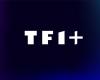 TF1+, disponible gratuitement sur Freebox, signe avec Arte et un groupe américain pour enrichir son catalogue