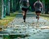 un parcours sportif entre nature et ville à travers la Seine-Saint-Denis