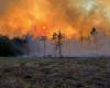 Contre les incendies de forêt, une constellation de satellites en orbite basse financée par Google