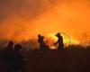 Quarante incendies de forêt toujours actifs, des milliers d’hectares ravagés