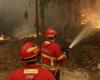 Le Portugal toujours confronté à de violents incendies de forêt