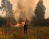 Le Portugal reçoit l’aide de l’Espagne et du Maroc pour lutter contre les incendies de forêt